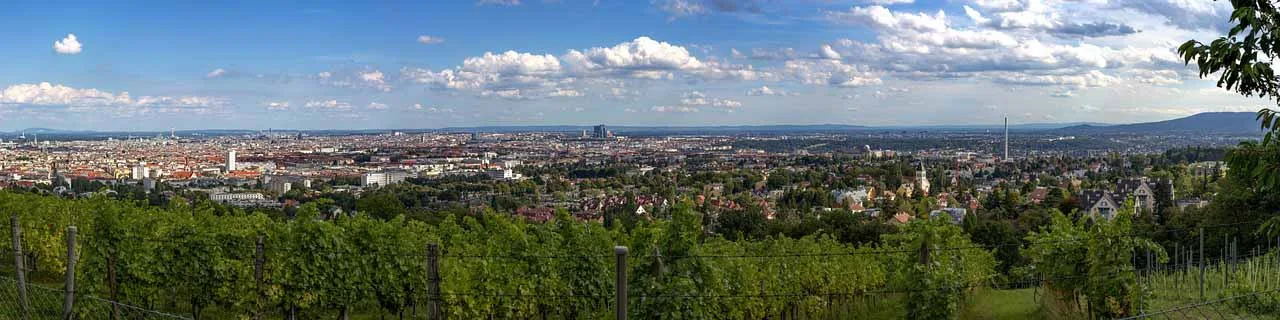 vienna view escort wien agentur xxx 1